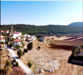 Hakkımızda